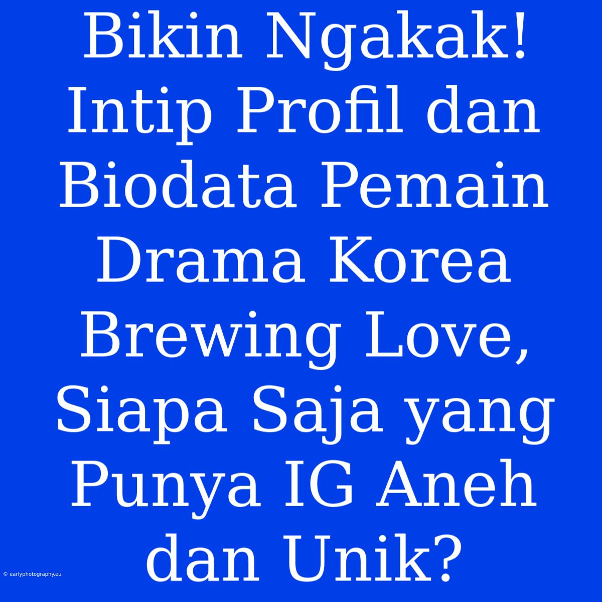 Bikin Ngakak! Intip Profil Dan Biodata Pemain Drama Korea Brewing Love, Siapa Saja Yang Punya IG Aneh Dan Unik?