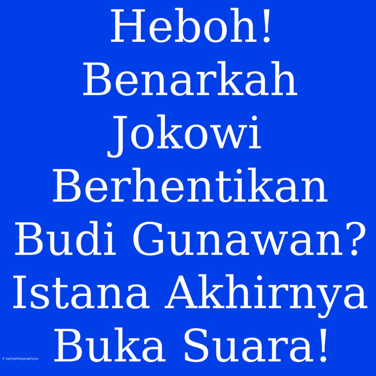 Heboh! Benarkah Jokowi Berhentikan Budi Gunawan? Istana Akhirnya Buka Suara!