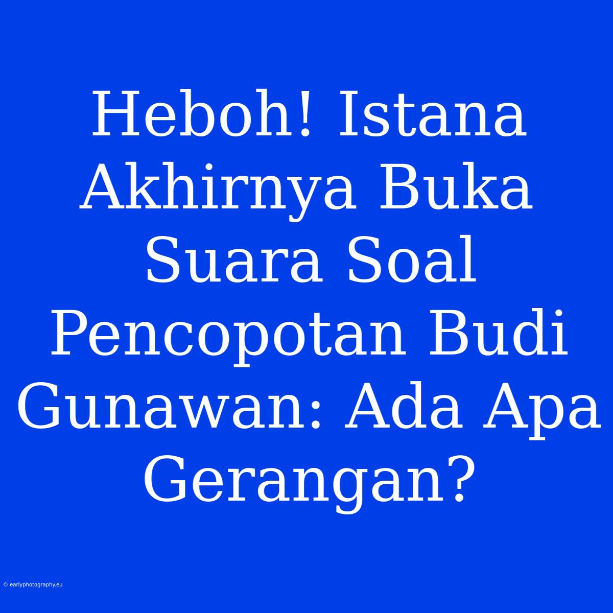 Heboh! Istana Akhirnya Buka Suara Soal Pencopotan Budi Gunawan: Ada Apa Gerangan?