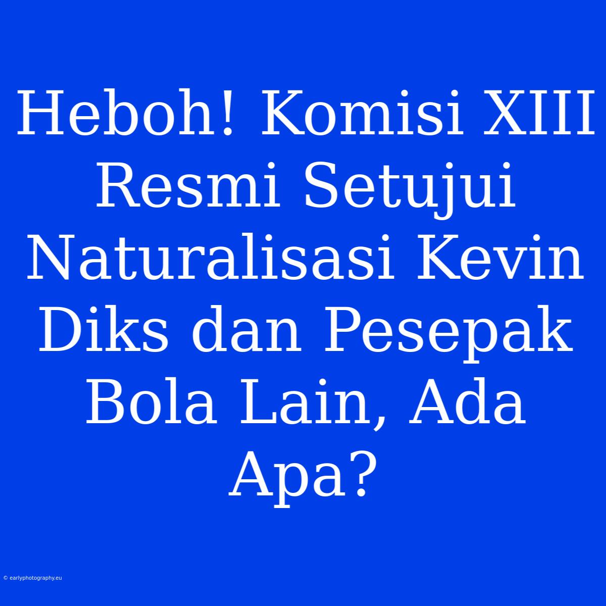 Heboh! Komisi XIII Resmi Setujui Naturalisasi Kevin Diks Dan Pesepak Bola Lain, Ada Apa?