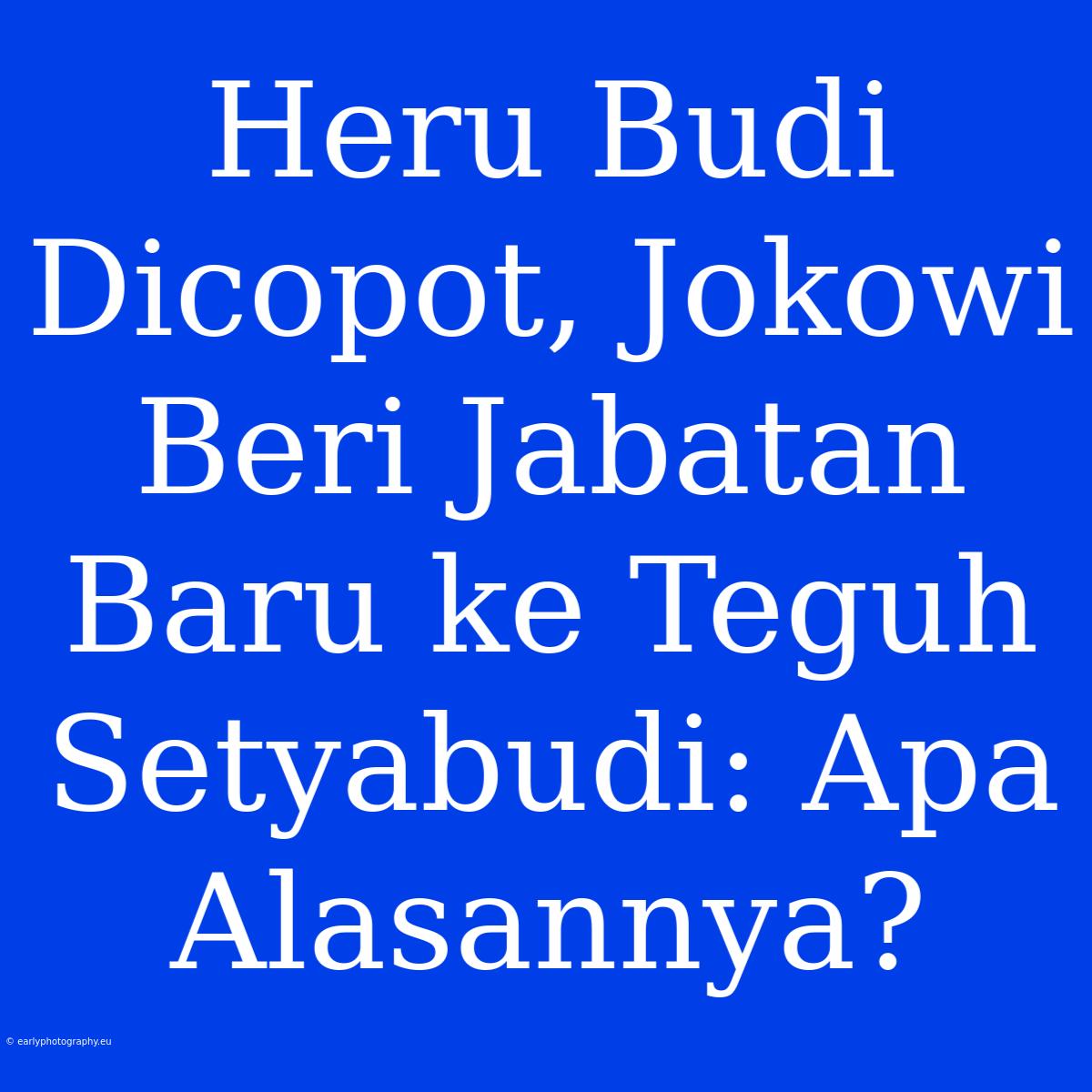 Heru Budi Dicopot, Jokowi Beri Jabatan Baru Ke Teguh Setyabudi: Apa Alasannya?