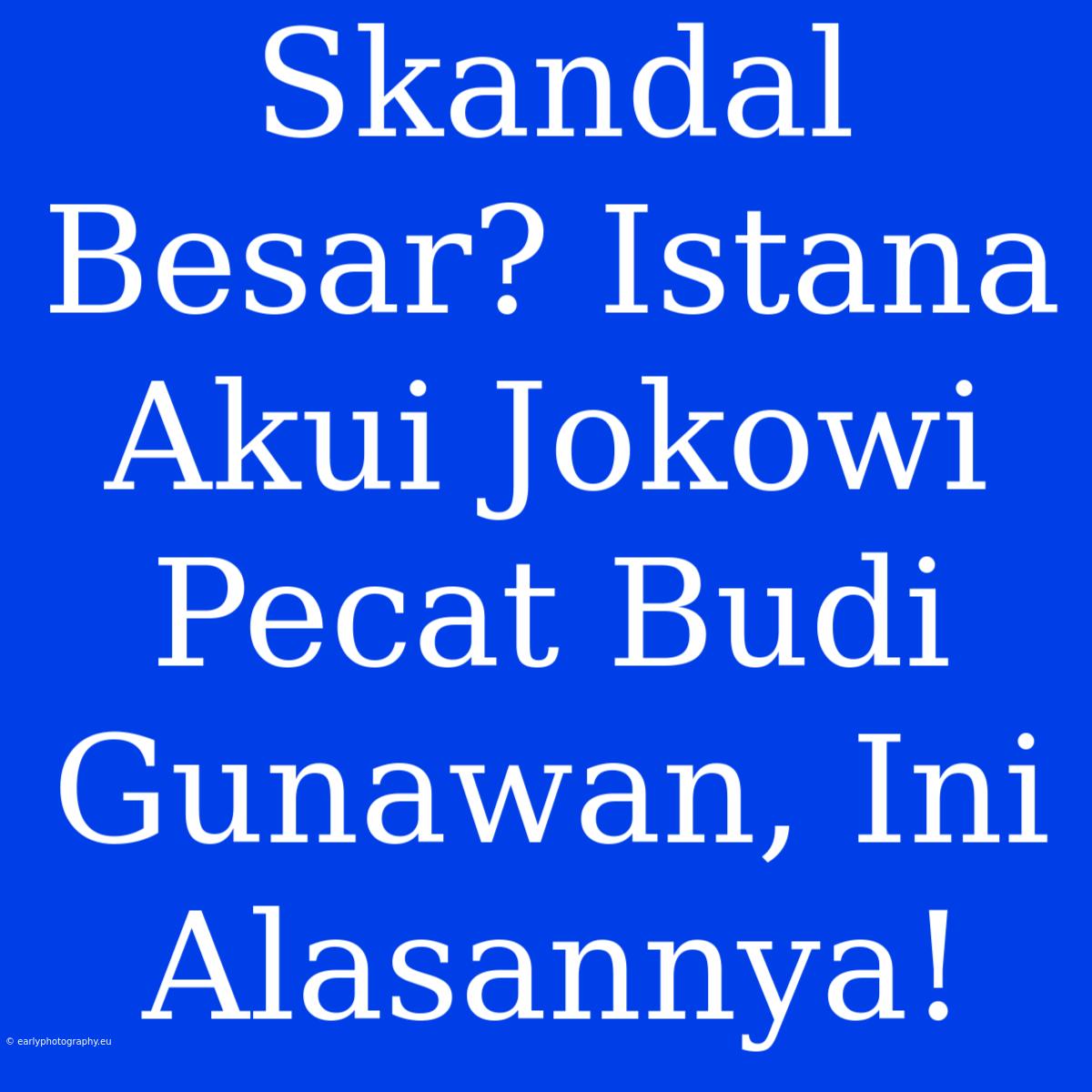 Skandal Besar? Istana Akui Jokowi Pecat Budi Gunawan, Ini Alasannya!