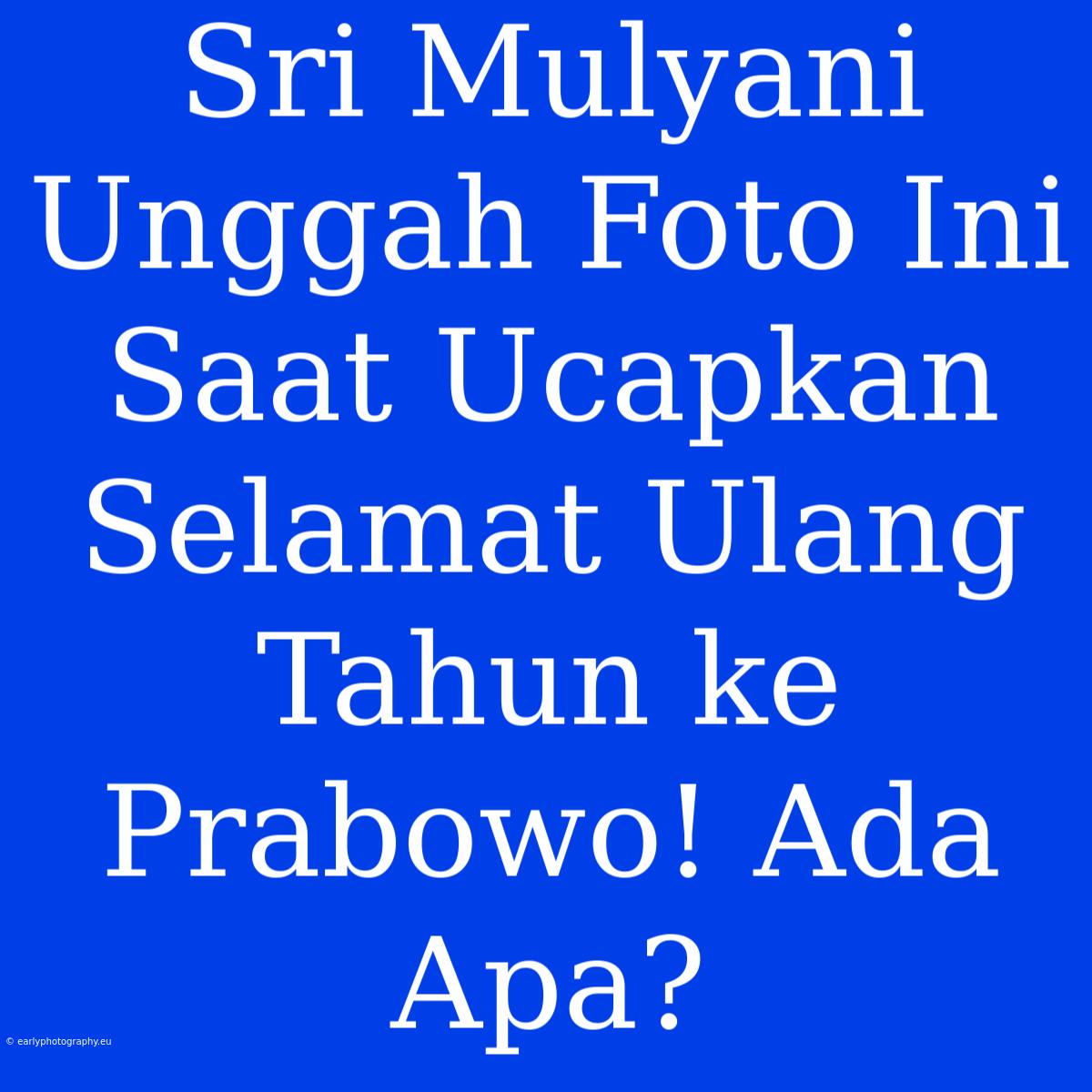 Sri Mulyani Unggah Foto Ini Saat Ucapkan Selamat Ulang Tahun Ke Prabowo! Ada Apa?