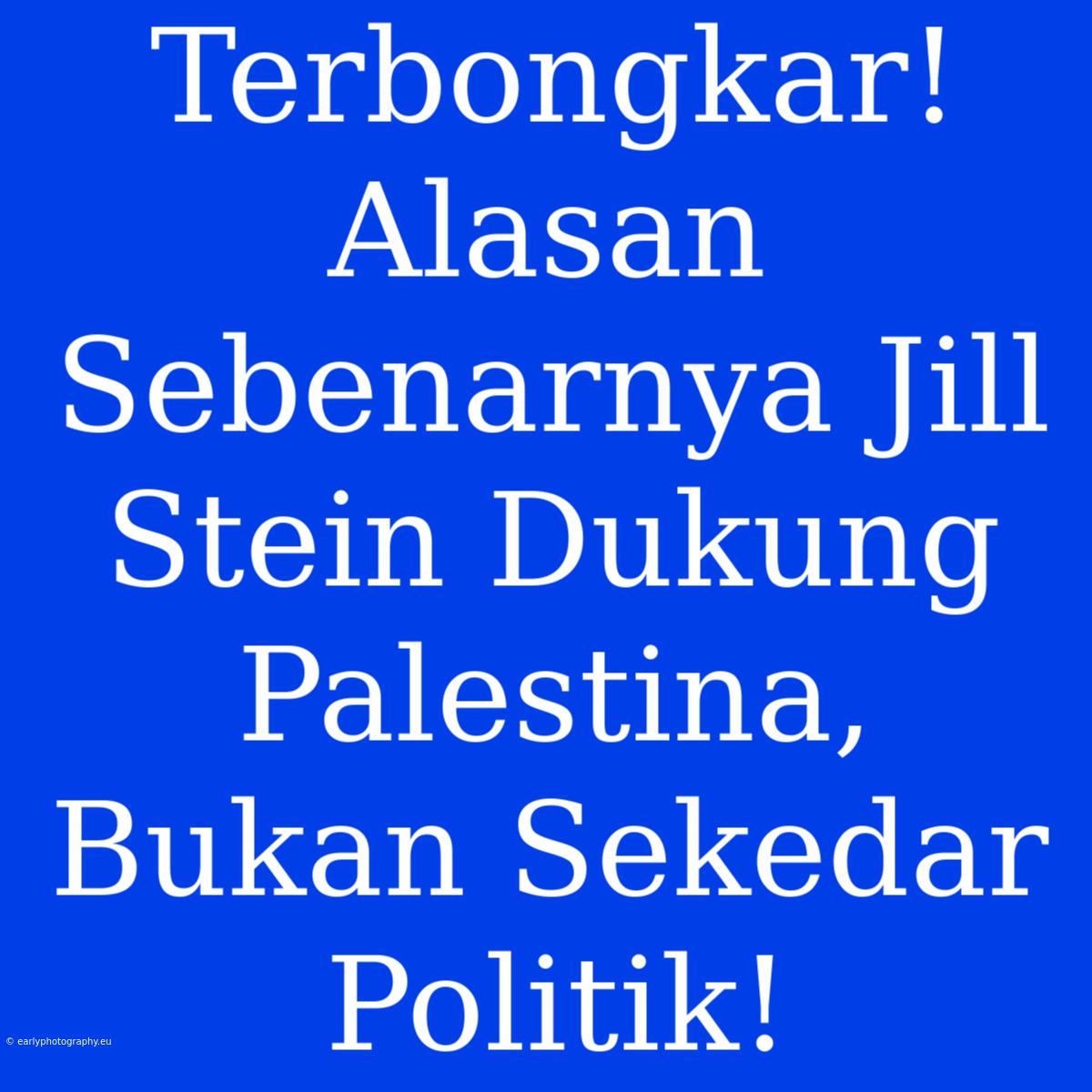 Terbongkar! Alasan Sebenarnya Jill Stein Dukung Palestina, Bukan Sekedar Politik!