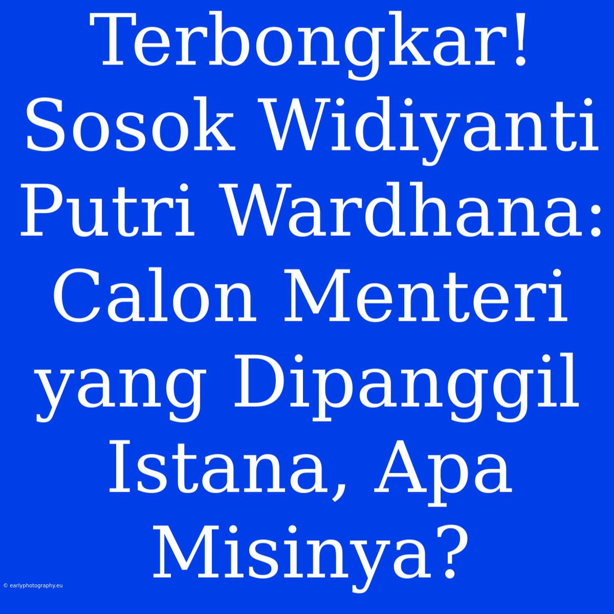 Terbongkar! Sosok Widiyanti Putri Wardhana: Calon Menteri Yang Dipanggil Istana, Apa Misinya?