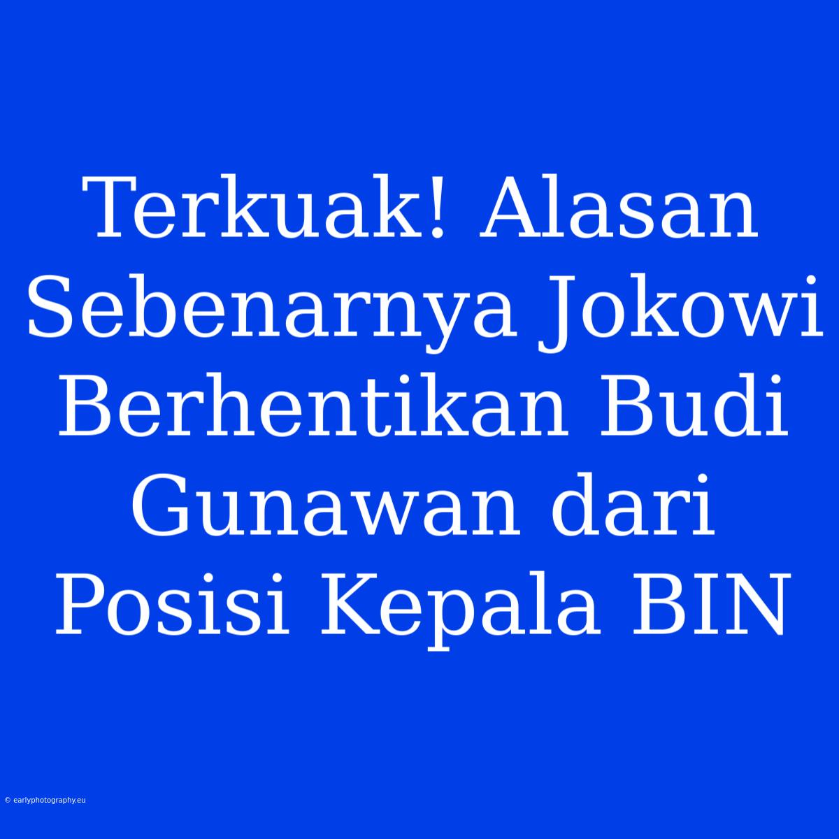 Terkuak! Alasan Sebenarnya Jokowi Berhentikan Budi Gunawan Dari Posisi Kepala BIN