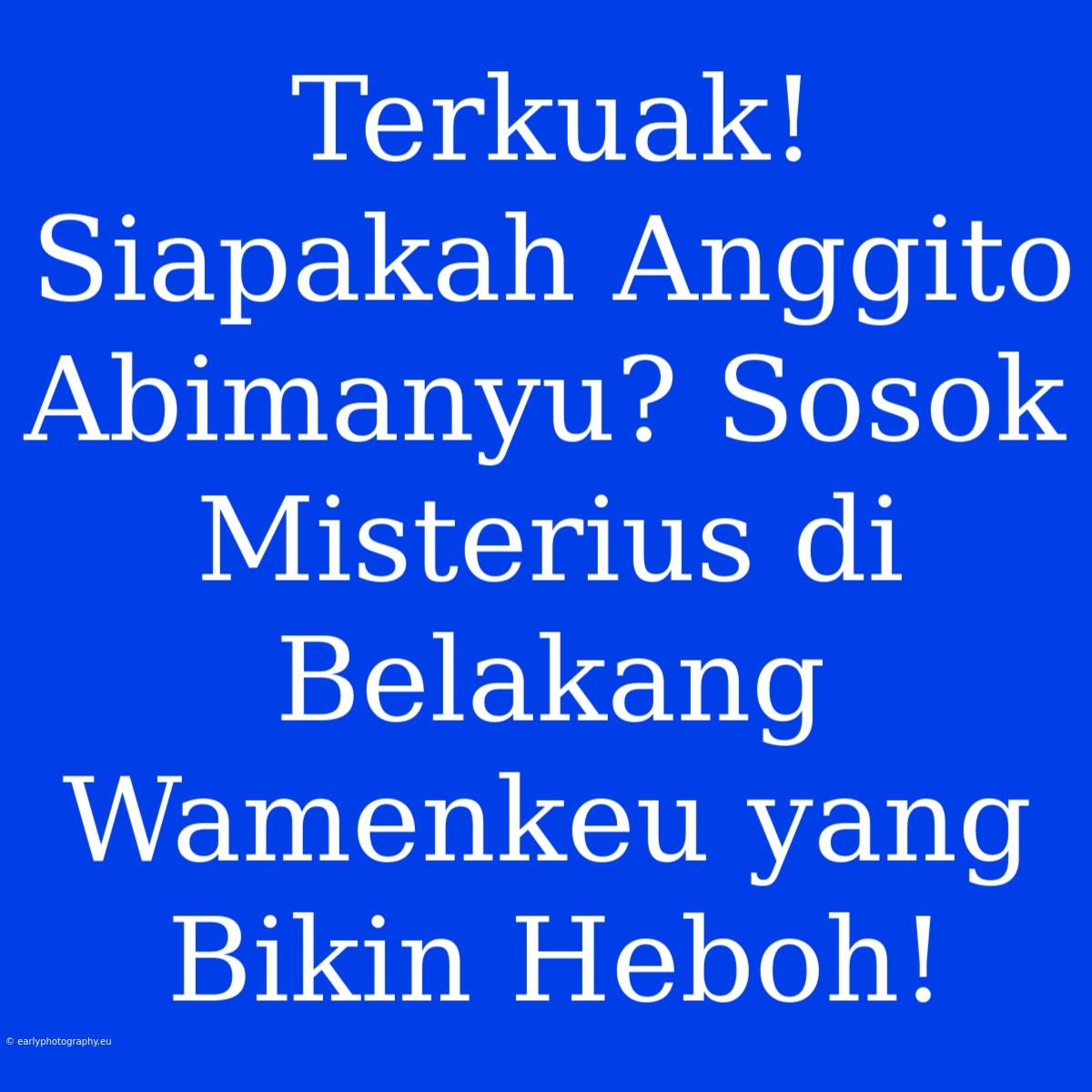 Terkuak! Siapakah Anggito Abimanyu? Sosok Misterius Di Belakang Wamenkeu Yang Bikin Heboh!